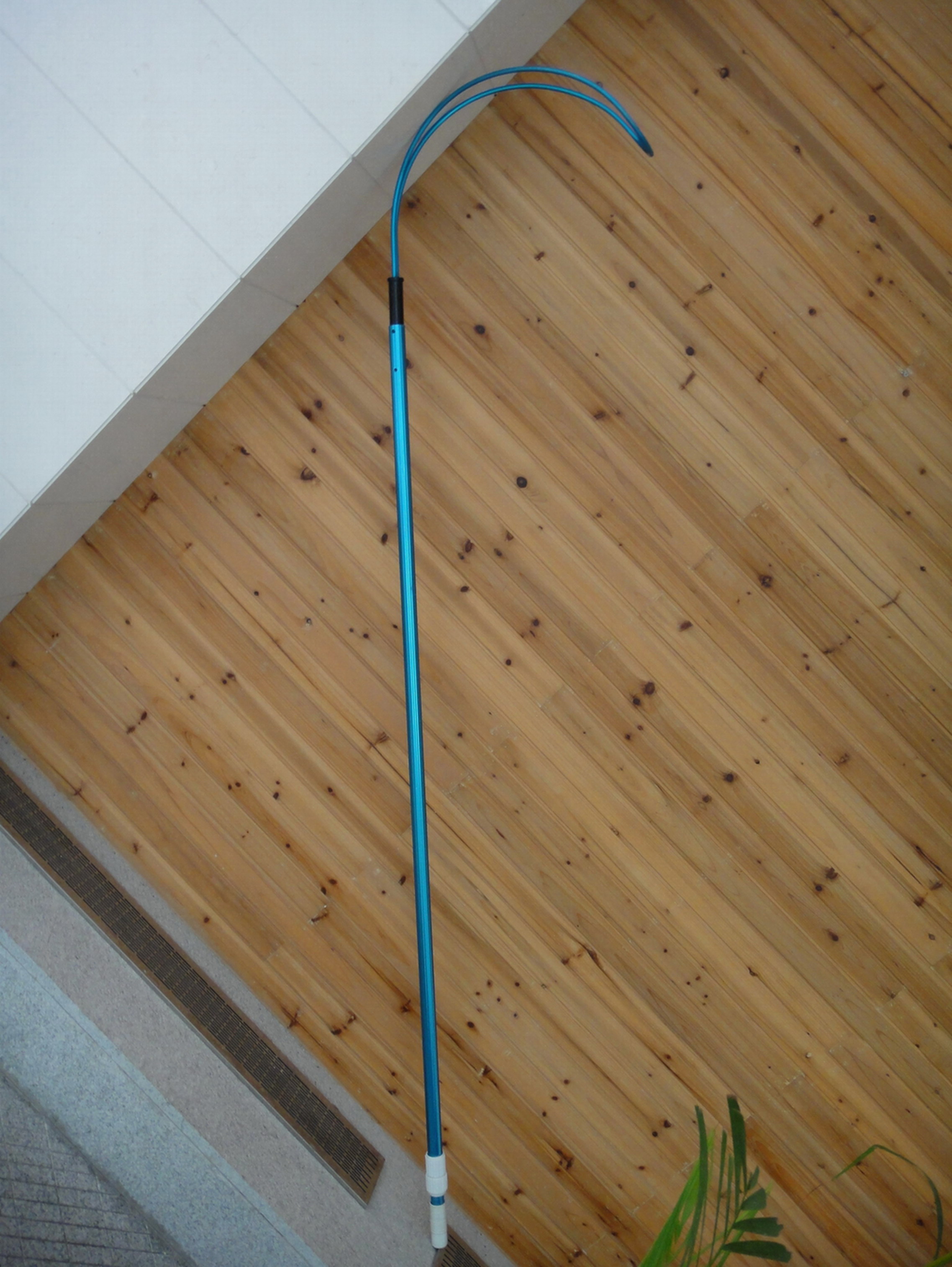 救生桿.1.JPG